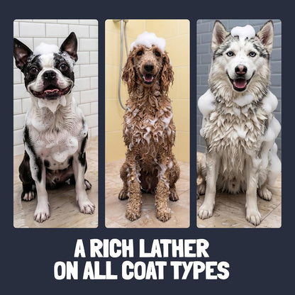 Detangling Dog Shampoo and Conditioner with Dog Perfume,
